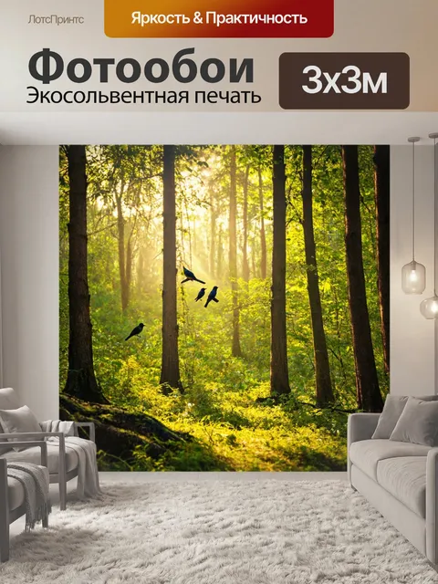 Фотообои лес, ярко освещенный утренним солнцем с поющими птицами