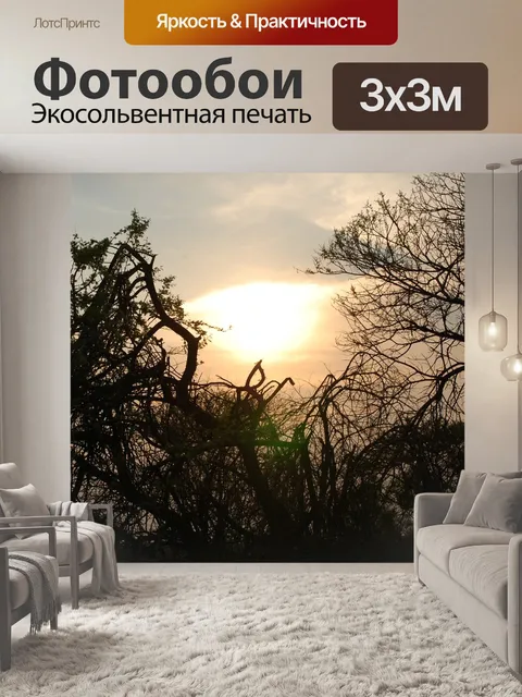 Фотообои Заход солнца