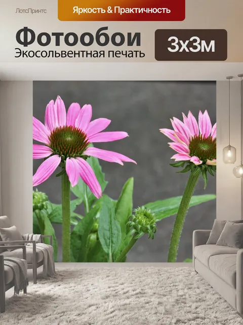Фотообои Два розовых конуса и почки