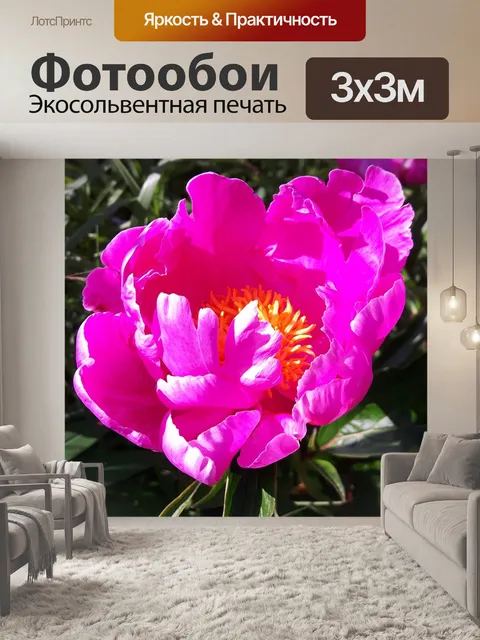 Фотообои Пион