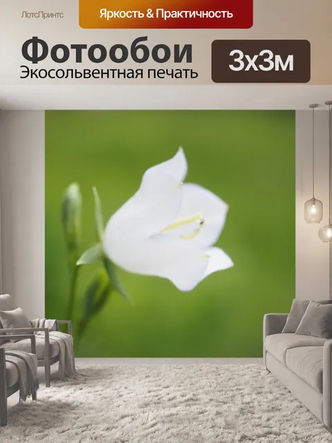 Фотообои Цветок воздушного шара