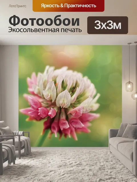 Фотообои Клевер цветущее полевое растение