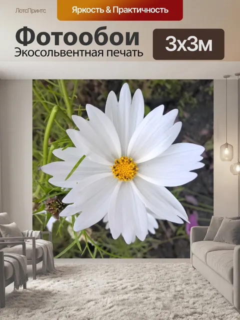 Фотообои Космос завод