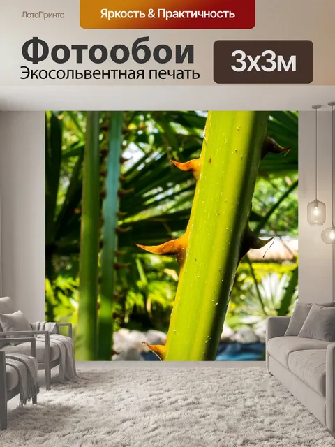 Фотообои Пальмовая ветвь