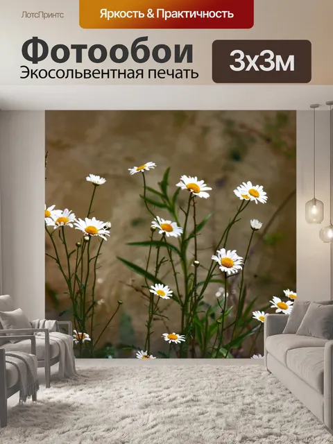 Фотообои Довольно белые ромашки