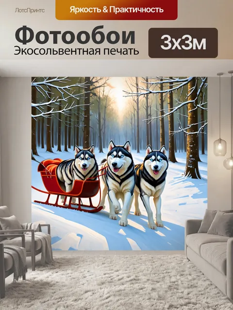 Фотообои сани, запряженные красивыми хаски, пронзают зимний лес, где деревья покрыты инеем