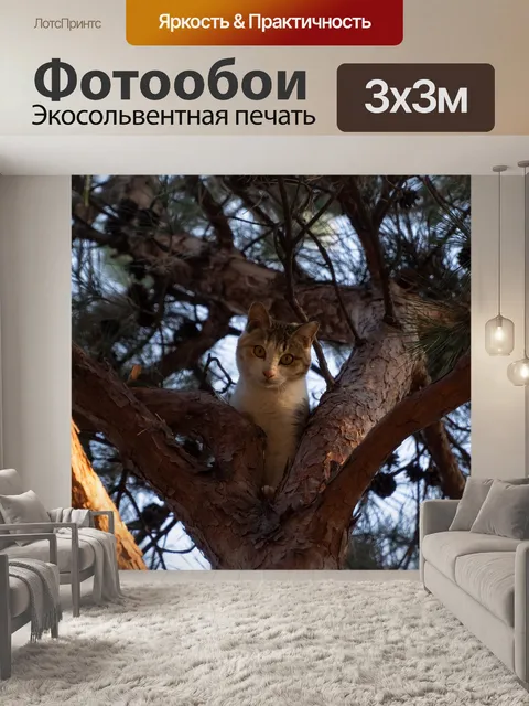 Фотообои Кошка