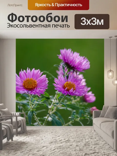 Фотообои Ботанический сад