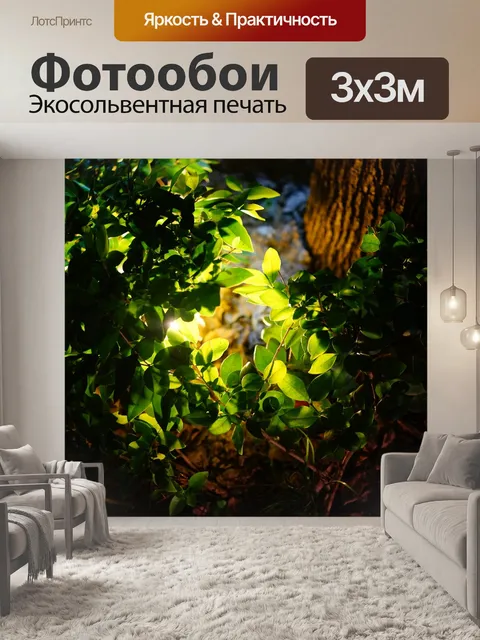 Фотообои Свет