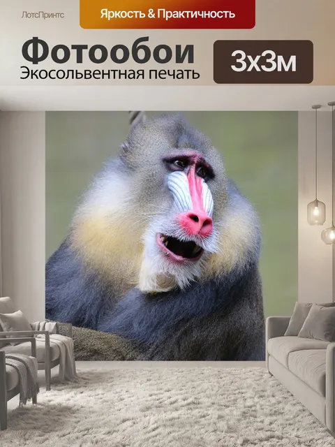 Фотообои Мандрил