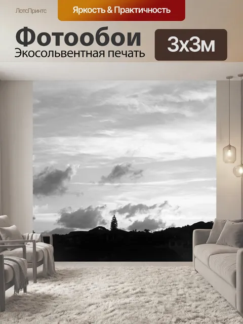 Фотообои Черно-белое изображение неба