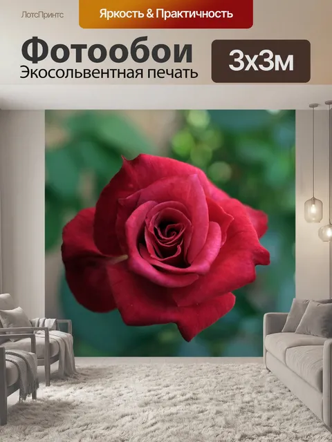 Фотообои Розы