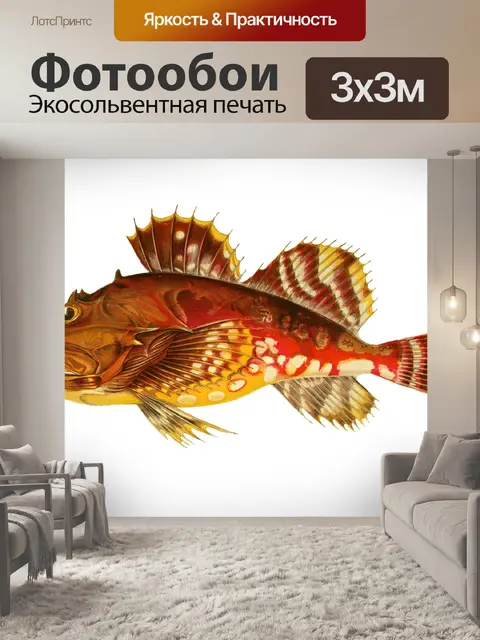 Фотообои Искусство Рисования Рыб Тропики
