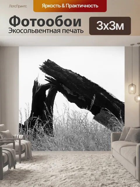 Фотообои Разбитое дерево в черно-белом
