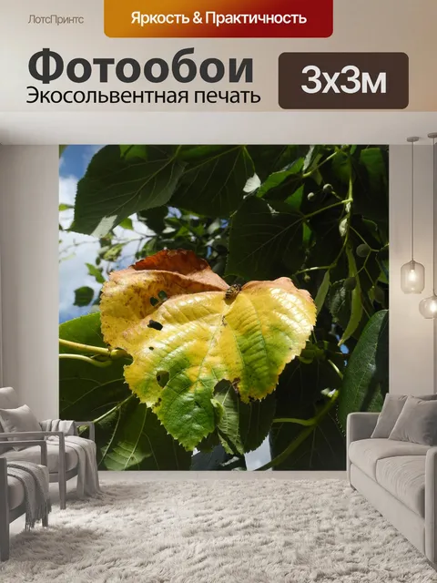 Фотообои Лист