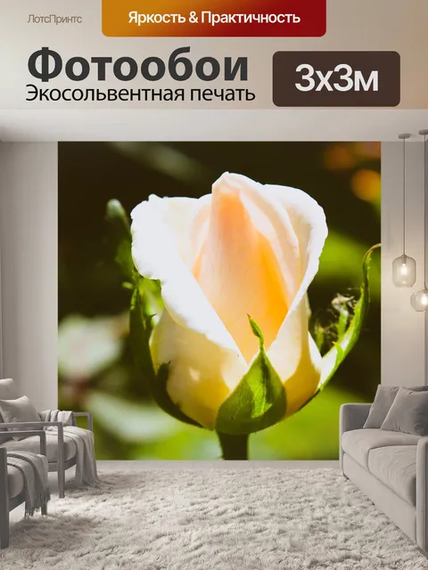 Фотообои Природа