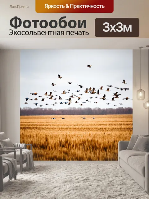 Фотообои осень: птицы, собирающиеся в стаи, летящие над золотыми полями