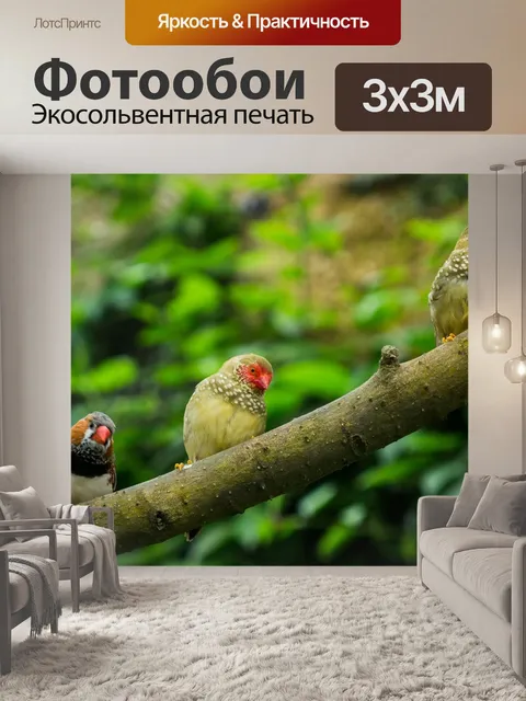 Фотообои Сад бабочек бенальмадена