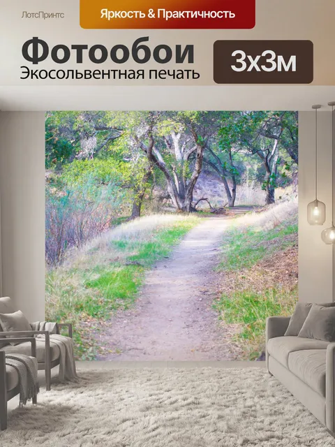 Фотообои Походная тропа в лесах
