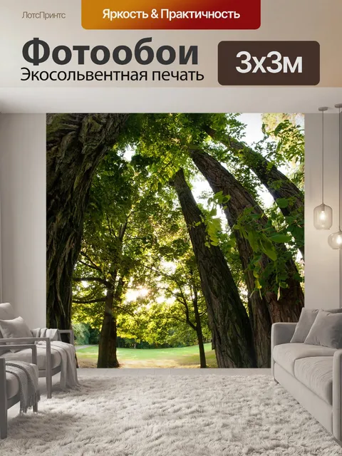 Фотообои Деревья