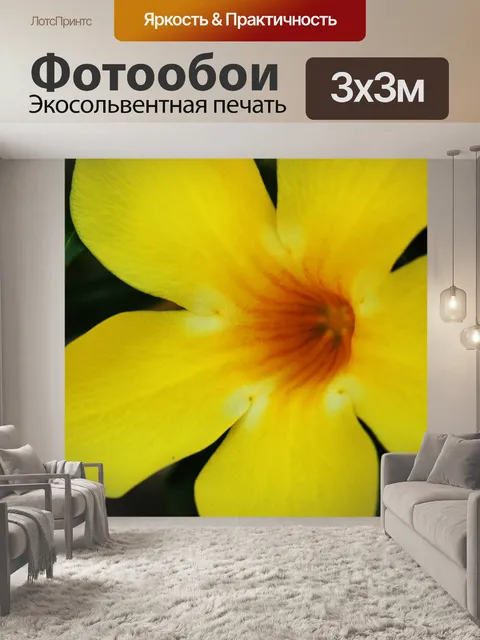 Фотообои красивый желтый цветок