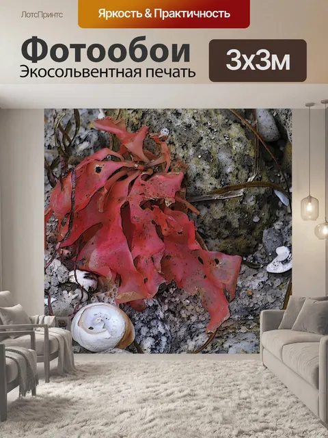 Фотообои Красный фон с морскими водорослями