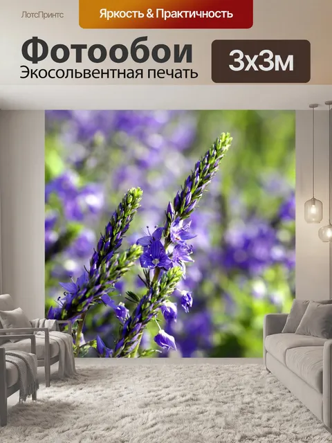 Фотообои Цветы