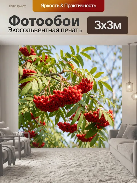 Фотообои Гроздья красной рябины на ветках