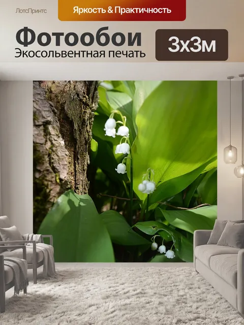 Фотообои Лесной ландыш
