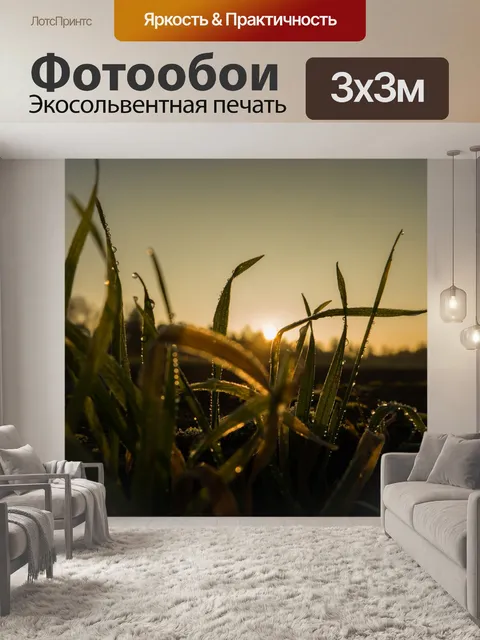 Фотообои Восход солнца