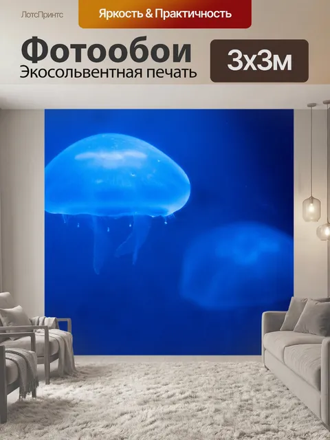 Фотообои медуза