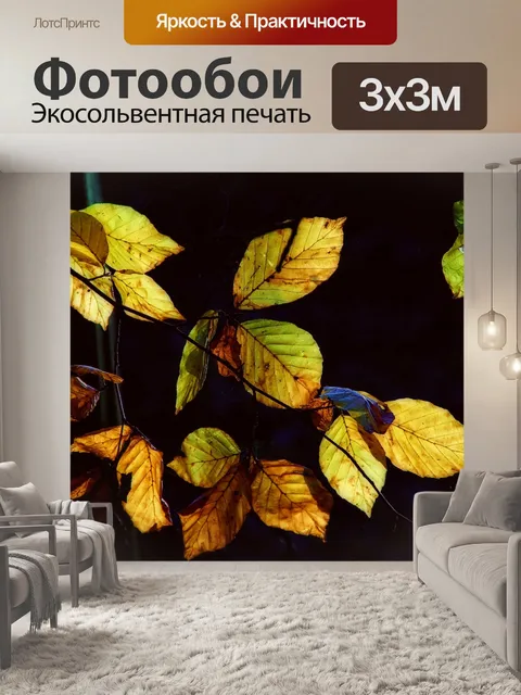 Фотообои Осень листва листья листва падение