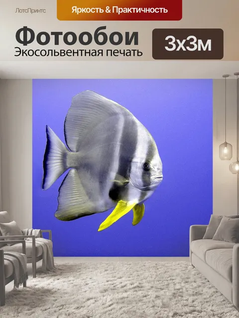 Фотообои Летучая мышь