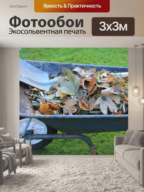 Фотообои Тачка