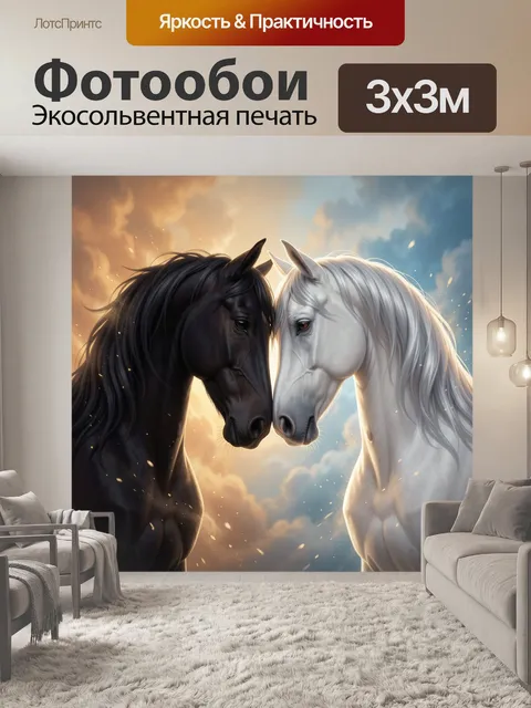 Фотообои Черный и белый конь