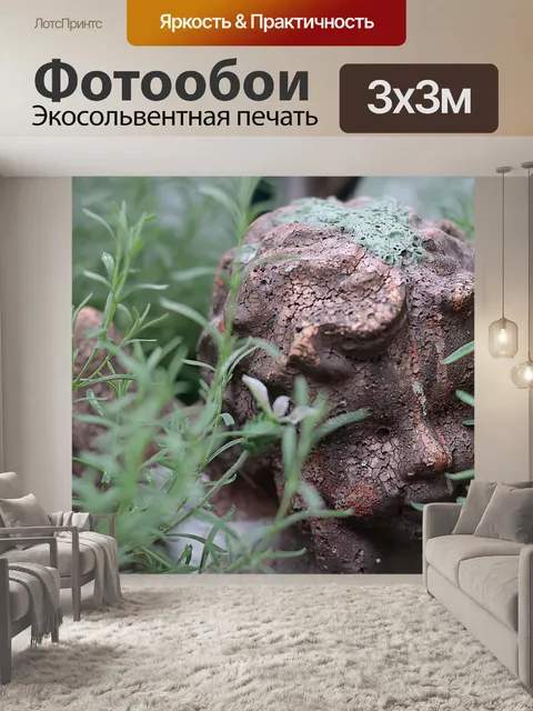Фотообои Ангел