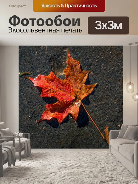 Фотообои Падение