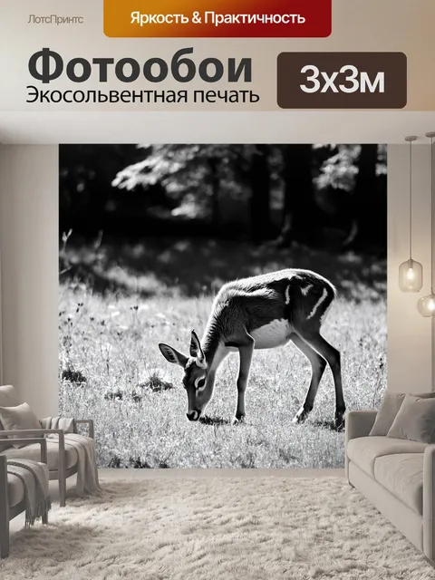 Фотообои животные в стиле черно-белый: грациозная лань