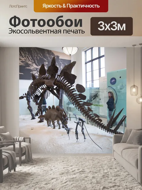 Фотообои Американский музей естественной истории