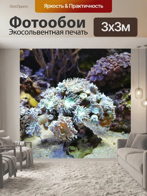 Фотообои Подводный мир