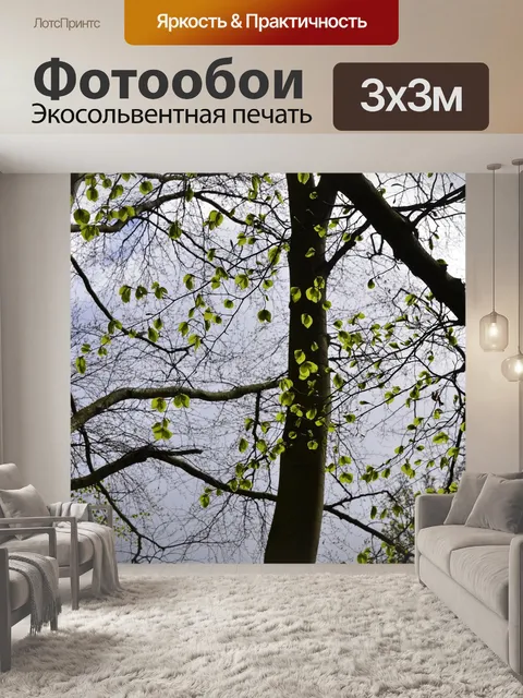 Фотообои Листья