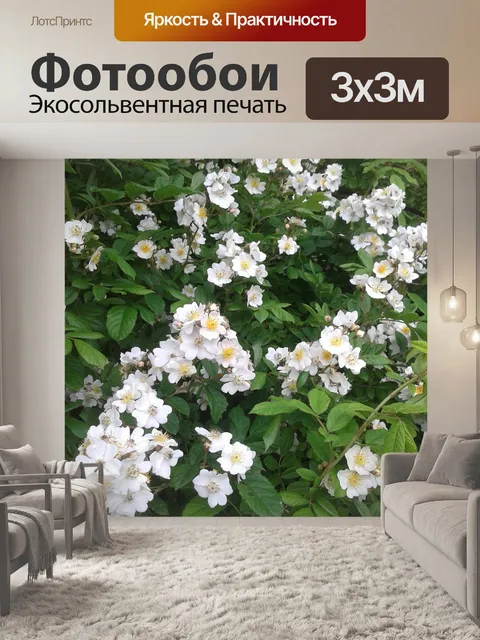 Фотообои В начале лета