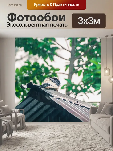 Фотообои Дождь