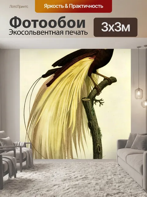 Фотообои Большая райская птица