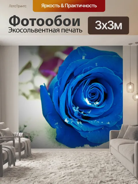 Фотообои Голубая роза на могиле