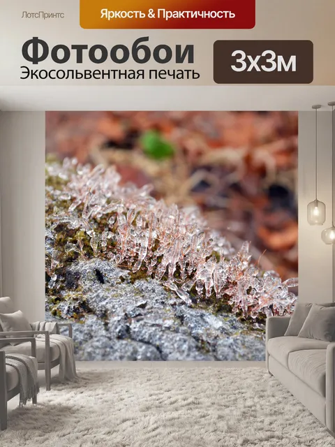 Фотообои Природа