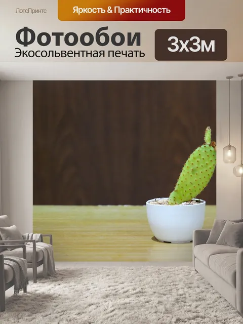 Фотообои Кактус