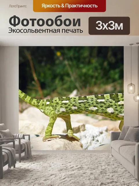 Фотообои Средиземноморская Хамелеон