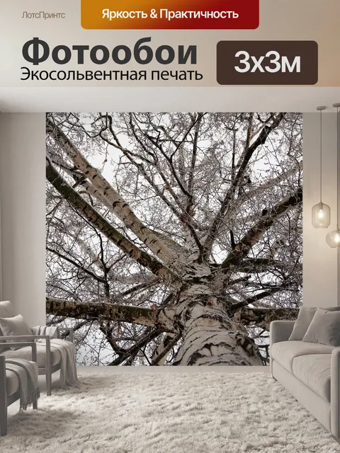 Фотообои Береза