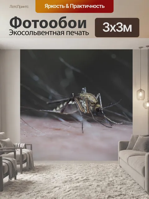 Фотообои Комаржица